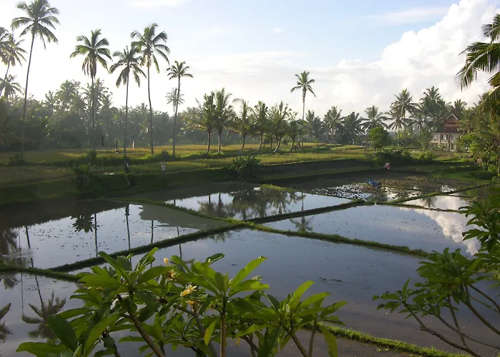 Hotel Sabandari Ubud (Bali)