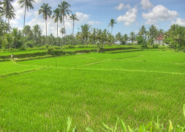 Sabandari 4* Ubud (Bali)