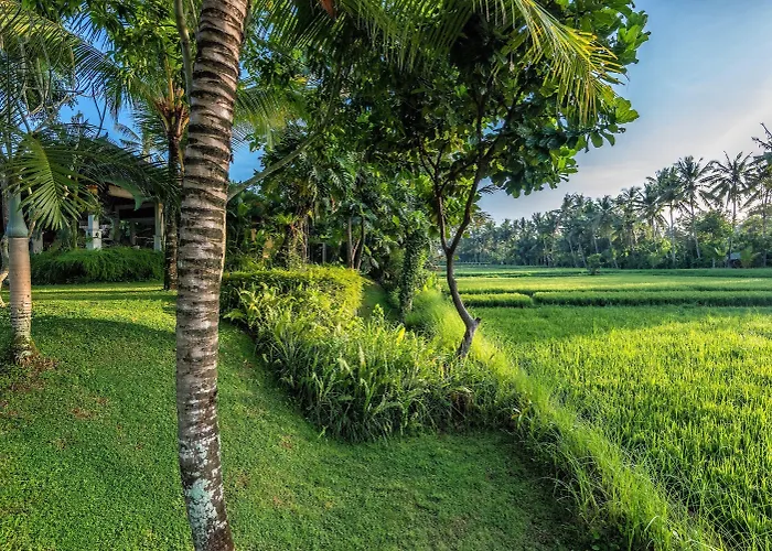 Sabandari Hotel